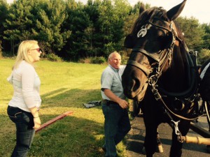 John Hutchison hitching his team of Percherons for trip to haunted Moonville Tunnel