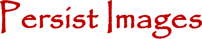 Persist Images Logo
